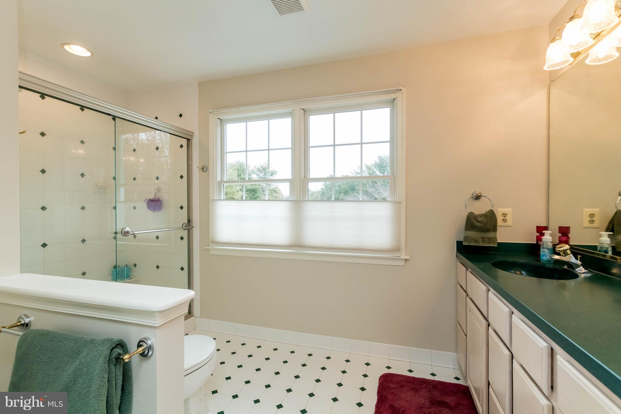 14013 Foxland Road Phoenix, MD 21131 - Photo 21 of 30 Bath (Master)