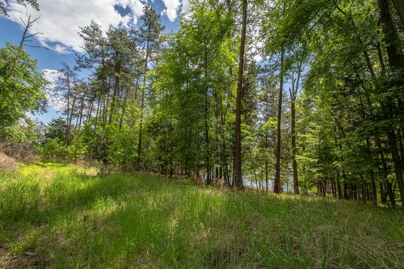 Lot 26 Estate Road Semora, NC 27343 - Photo 14 of 22 Photo 14