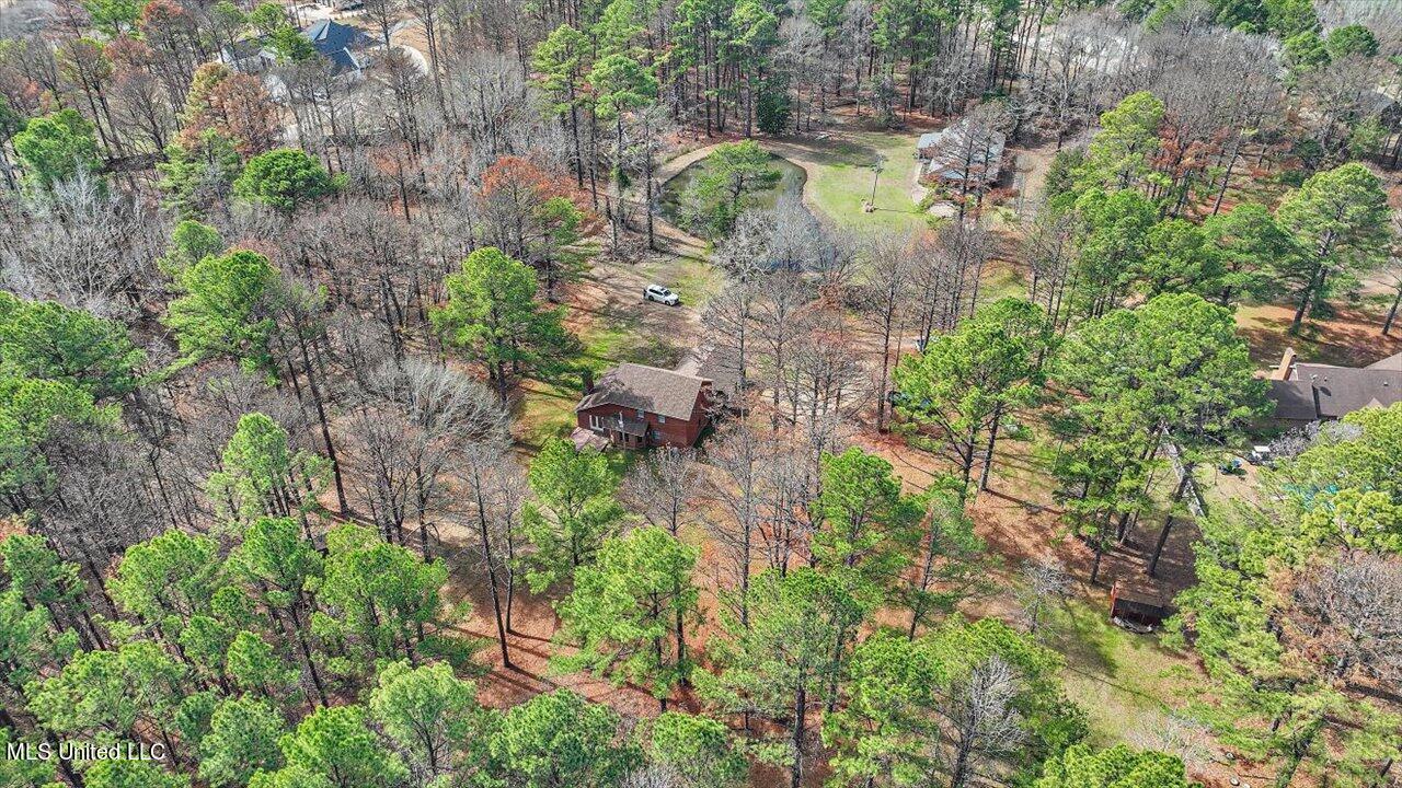 250 Pine Tree Lane Ridgeland, MS 39157 - Photo 54 of 62 53-250 Pine Tree Ln