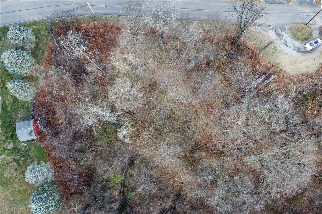 a view of a dry yard with green space