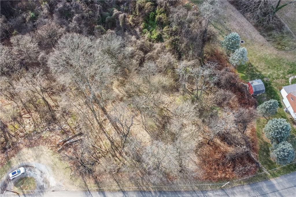 0 High Road Clairton, PA 15025 - Photo 3 of 6 a view of a dry yard with large trees