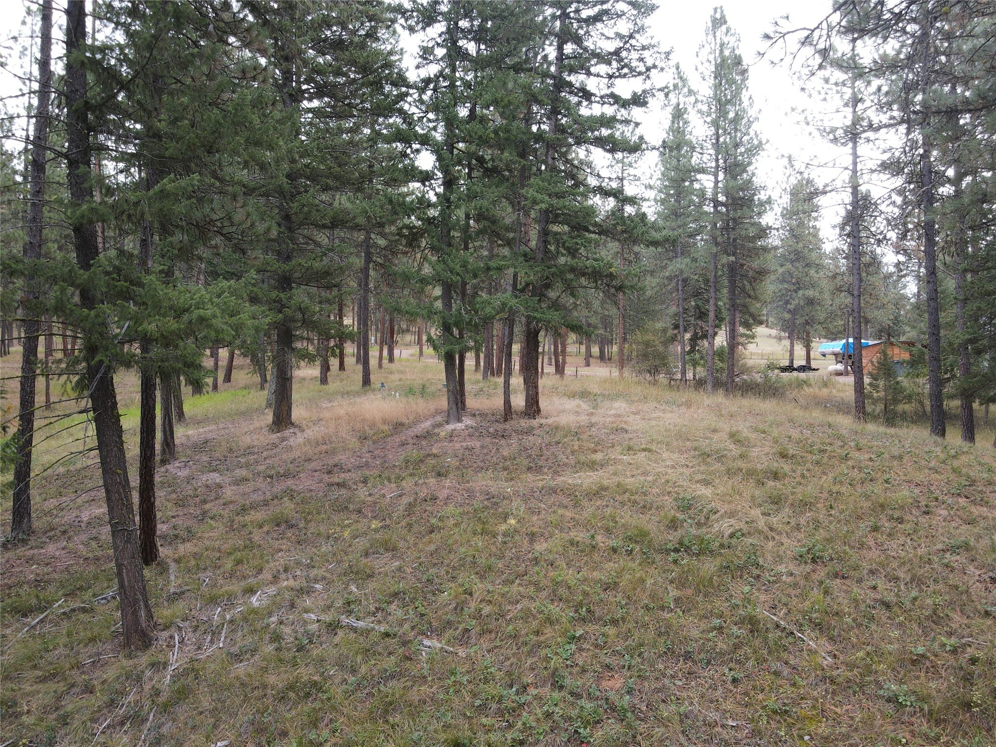 21481 9 Mile Road Huson, MT 59846 - Photo 27 of 43 Gallery Image 27