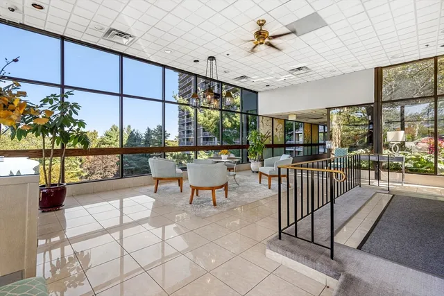 a view of a park with large trees