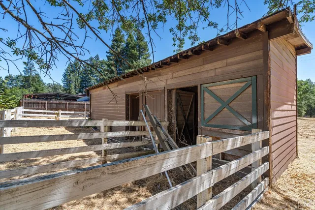 a view of a yard with large trees