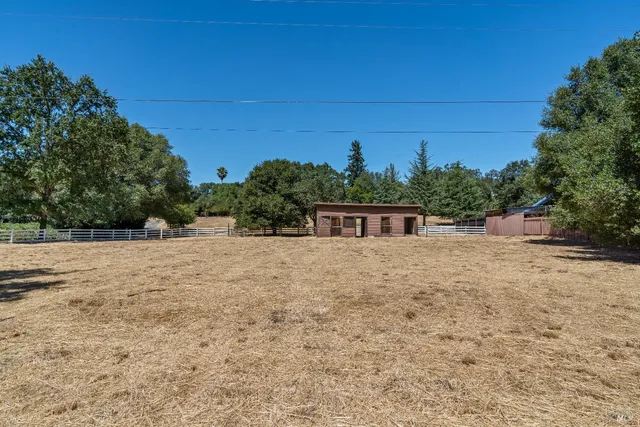a view of empty field with trees