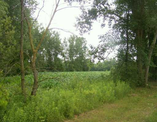 0 Allison Rd-parcel G Milan, MI 48160 - Photo 1 of 1 Photo 1