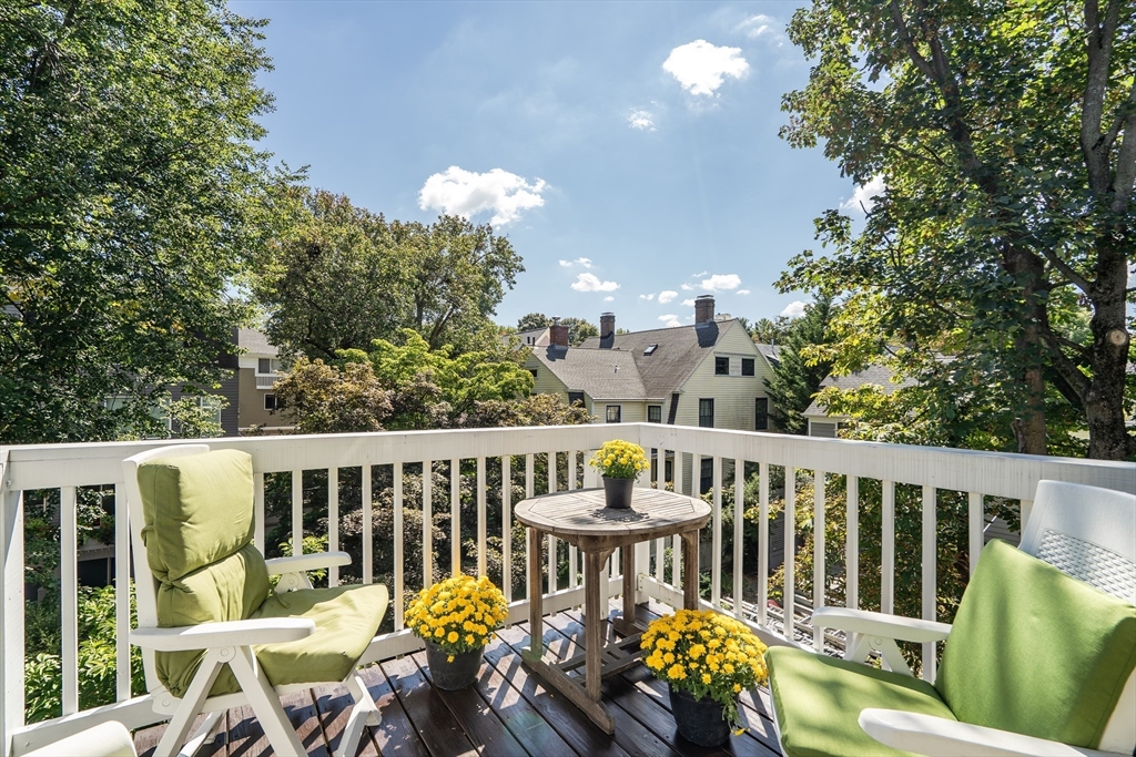 54 Ellery Street, Unit 3 Cambridge, MA 02138 - Photo 16 of 35