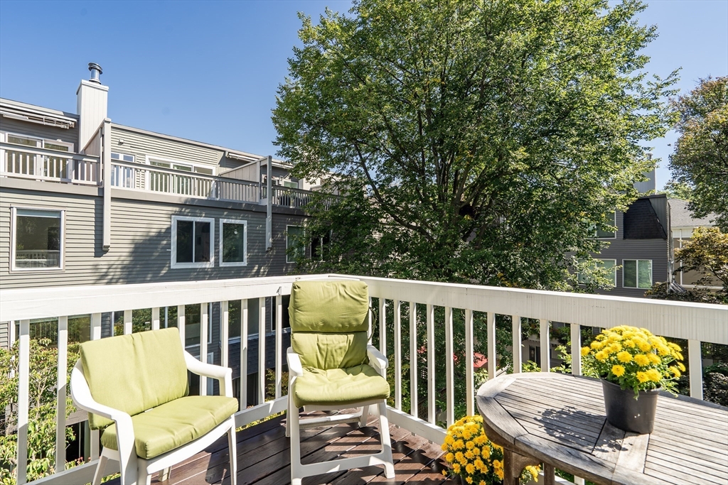 54 Ellery Street, Unit 3 Cambridge, MA 02138 - Photo 17 of 35