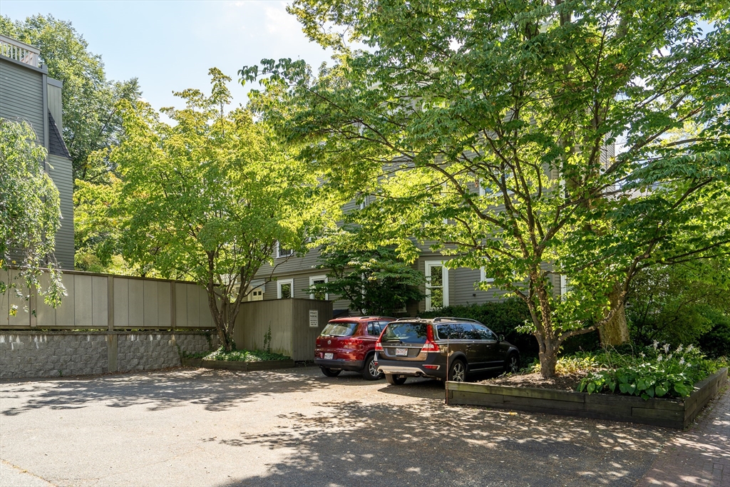 54 Ellery Street, Unit 3 Cambridge, MA 02138 - Photo 32 of 35