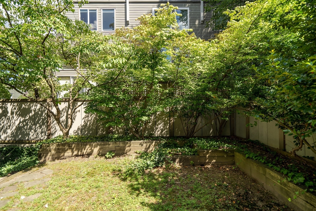 54 Ellery Street, Unit 3 Cambridge, MA 02138 - Photo 34 of 35