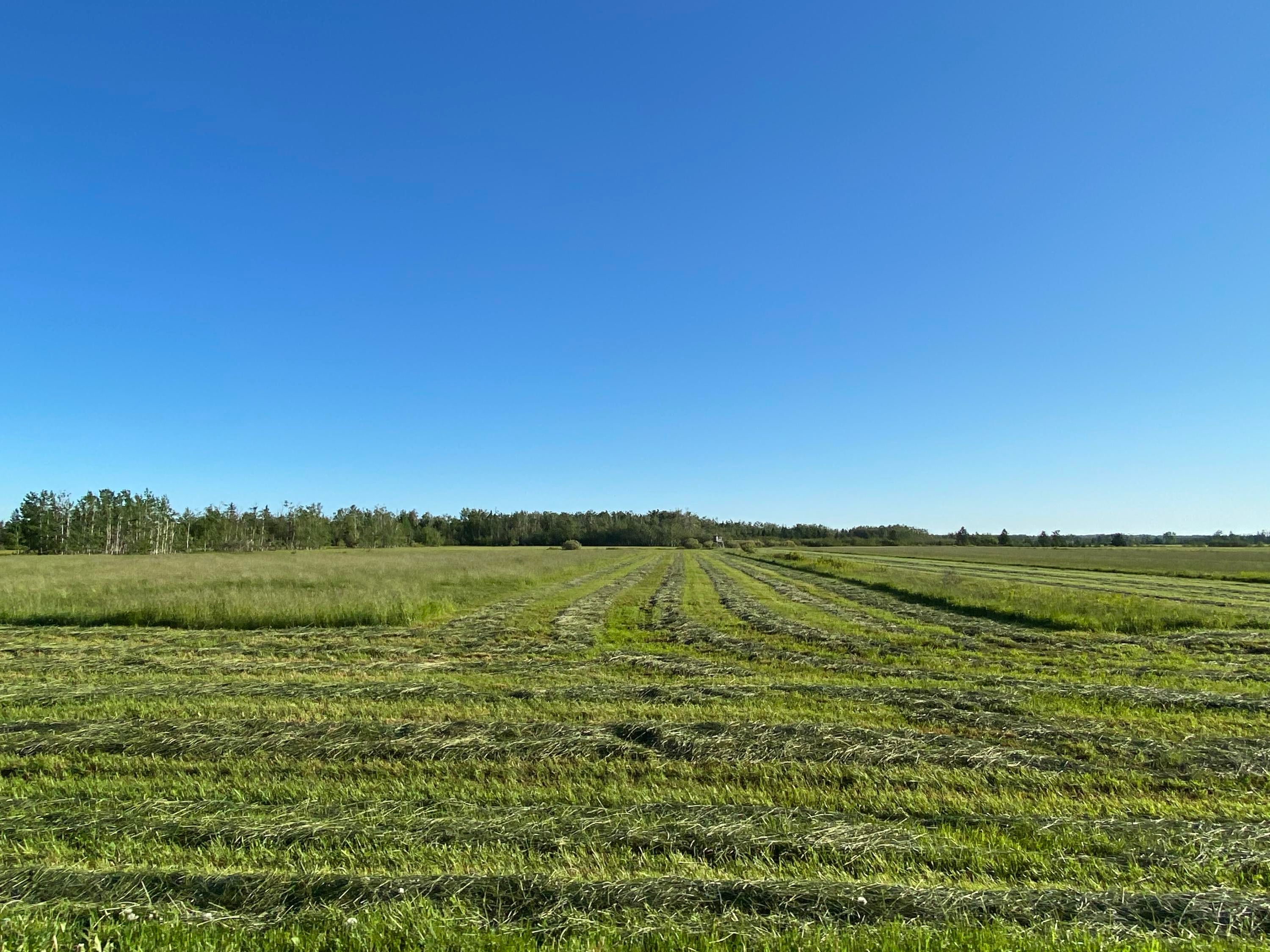 23 West 23 Mile Road Pickford, MI 49774 - Photo 2 of 6 Gallery Image 2