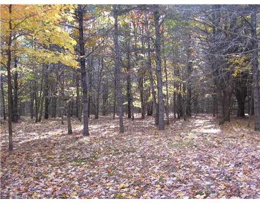 3 Dawes Hill Road Harrison, ME 04040 - Photo 1 of 9 Land/Lot. Level, wooded building...