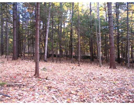 3 Dawes Hill Road Harrison, ME 04040 - Photo 8 of 9 Land/Lot. Level building site &...