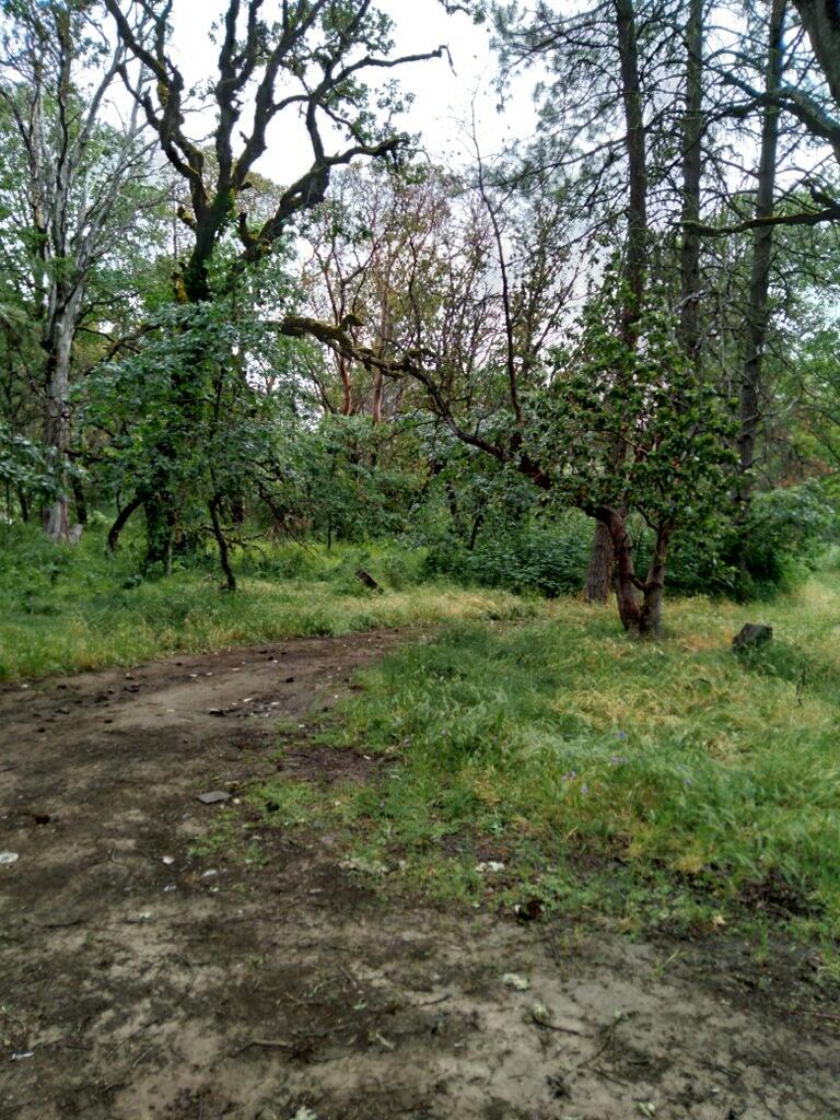 0 River North Road Gold Hill, OR 97525 - Photo 18 of 18 ROAD