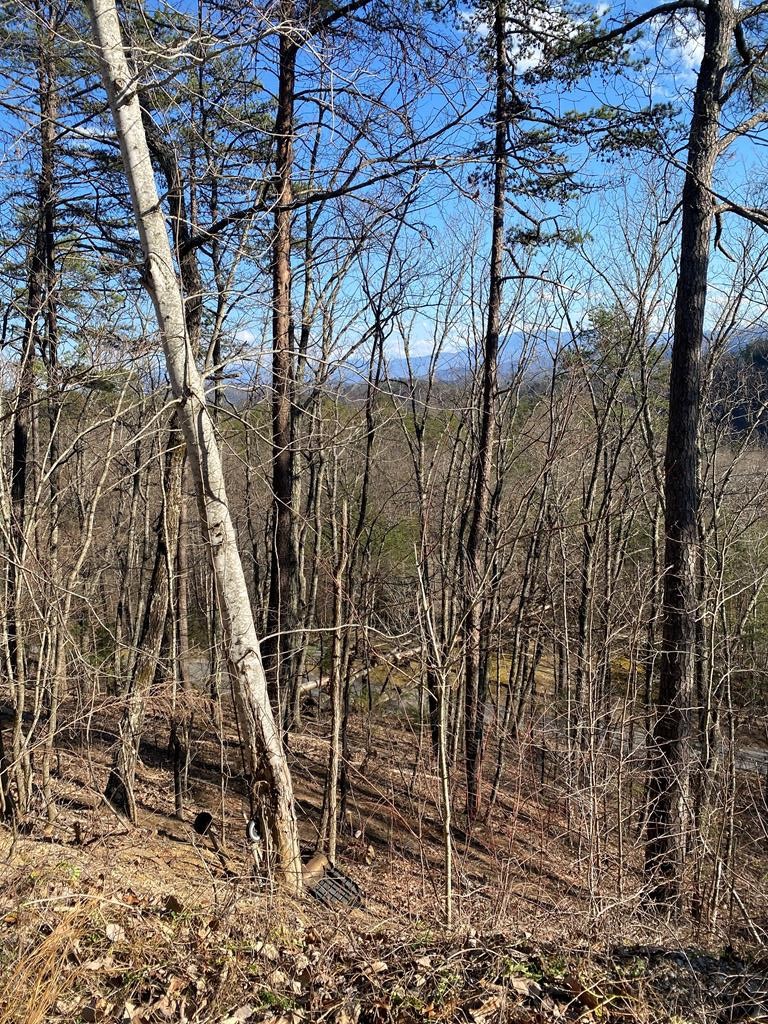 0 Rising Fawn Way Sevierville, TN 37862 - Photo 1 of 4