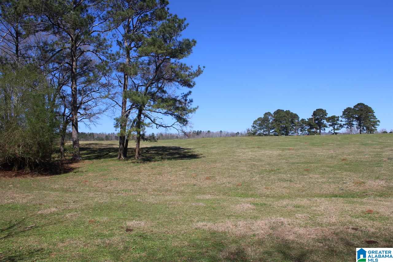 0 Lewis Road Columbiana, AL 35051 - Photo 8 of 10