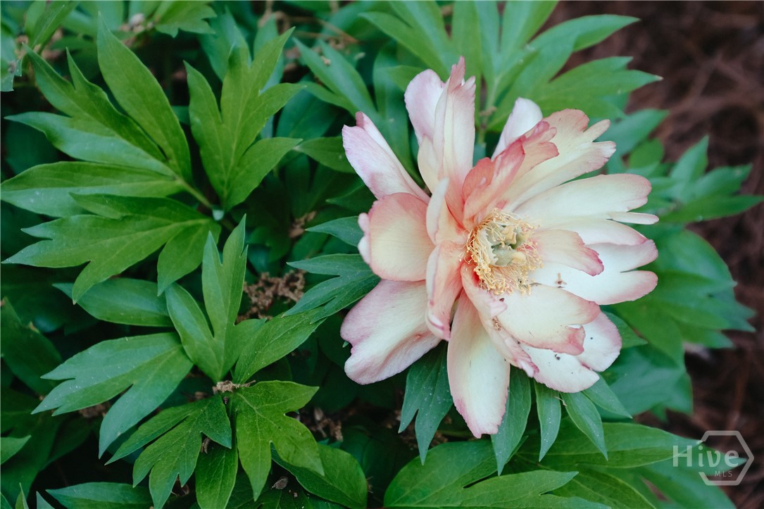 236 Henderson Avenue Athens, GA 30605 - Photo 62 of 62