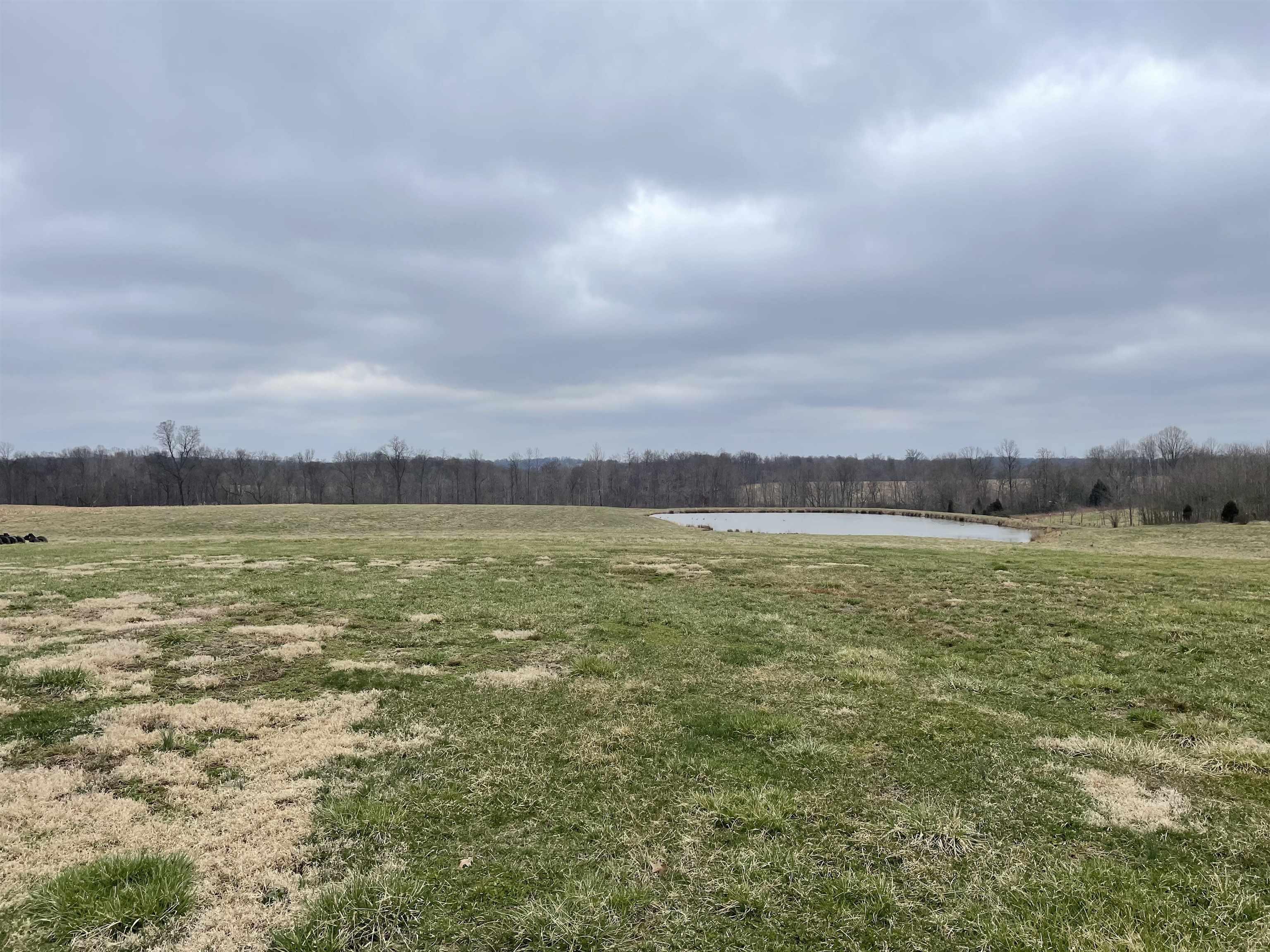 9307 North Zimmerman Road Birdseye, IN 47513 - Photo 3 of 6