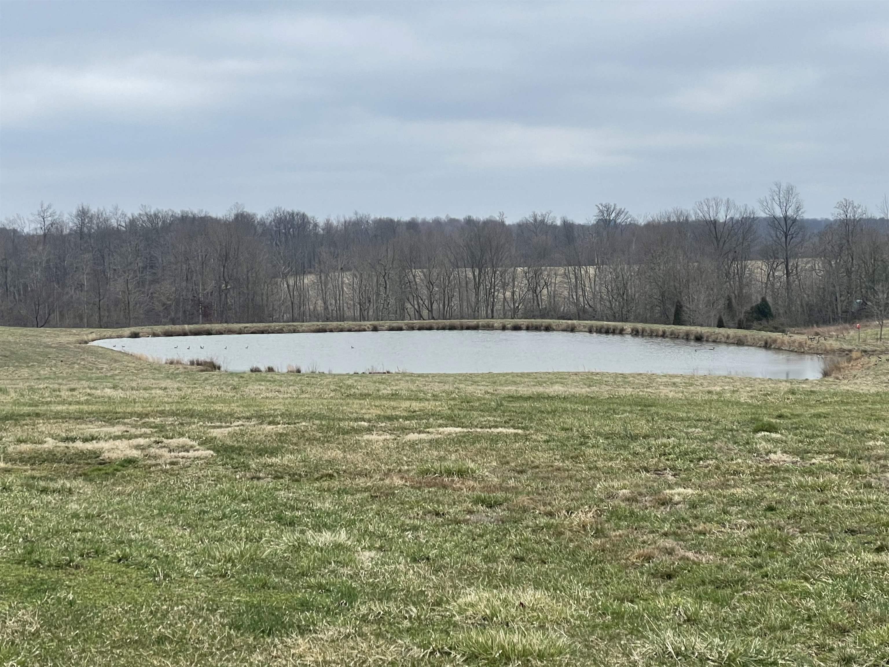 9307 North Zimmerman Road Birdseye, IN 47513 - Photo 4 of 6