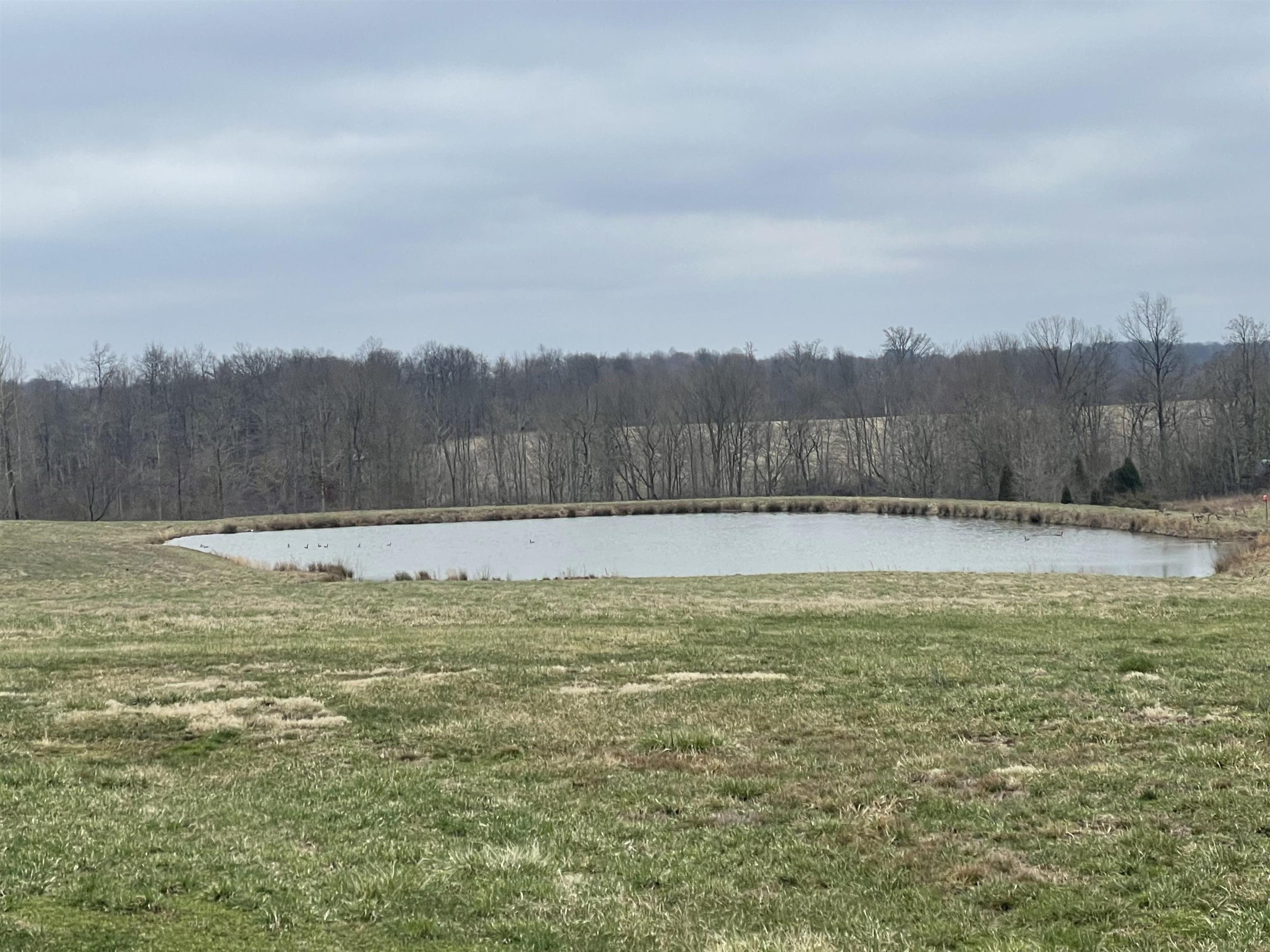 9307 North Zimmerman Road Birdseye, IN 47513 - Photo 5 of 6