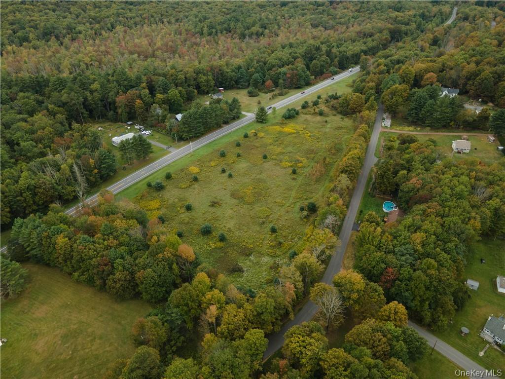 Tbd Old Greenfield Road Greenfield Park, NY 12435 - Photo 2 of 3 a view of a forest with a lake