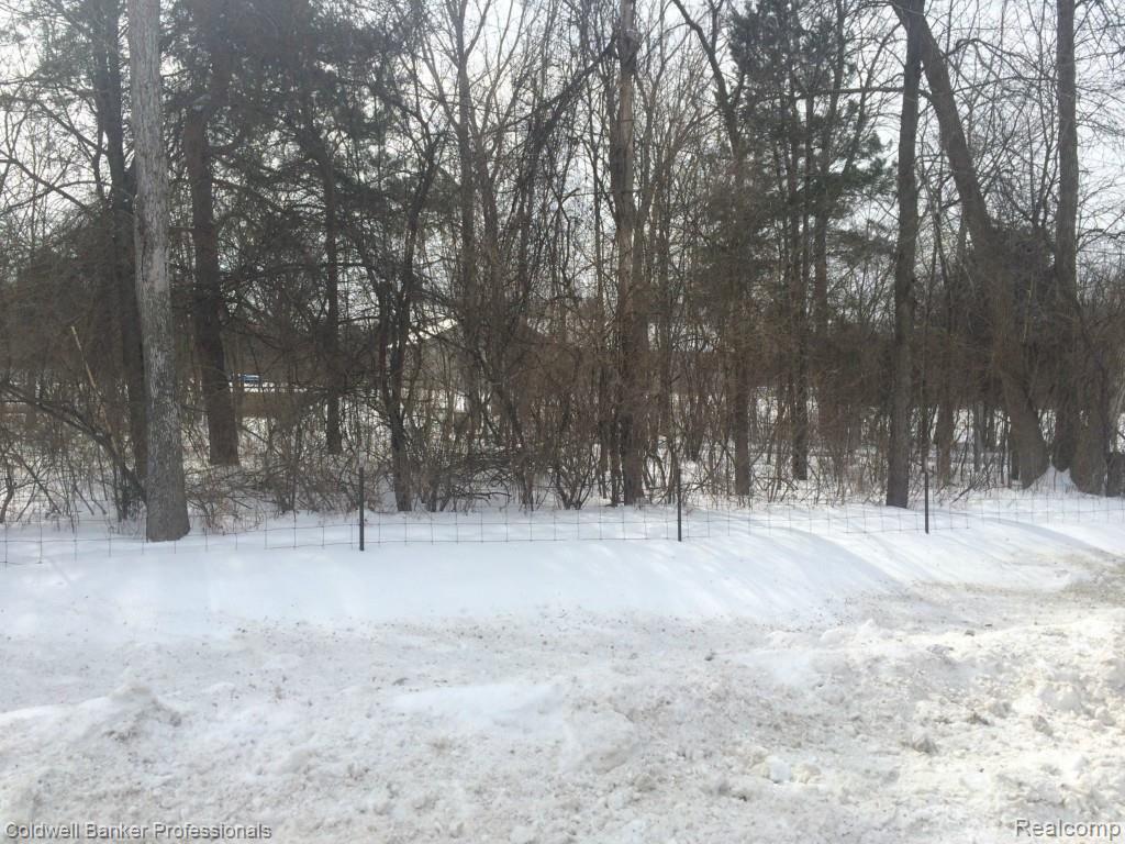 4064 East Coldwater Road Flint, MI 48506 - Photo 52 of 53 IMG_3316.jpg