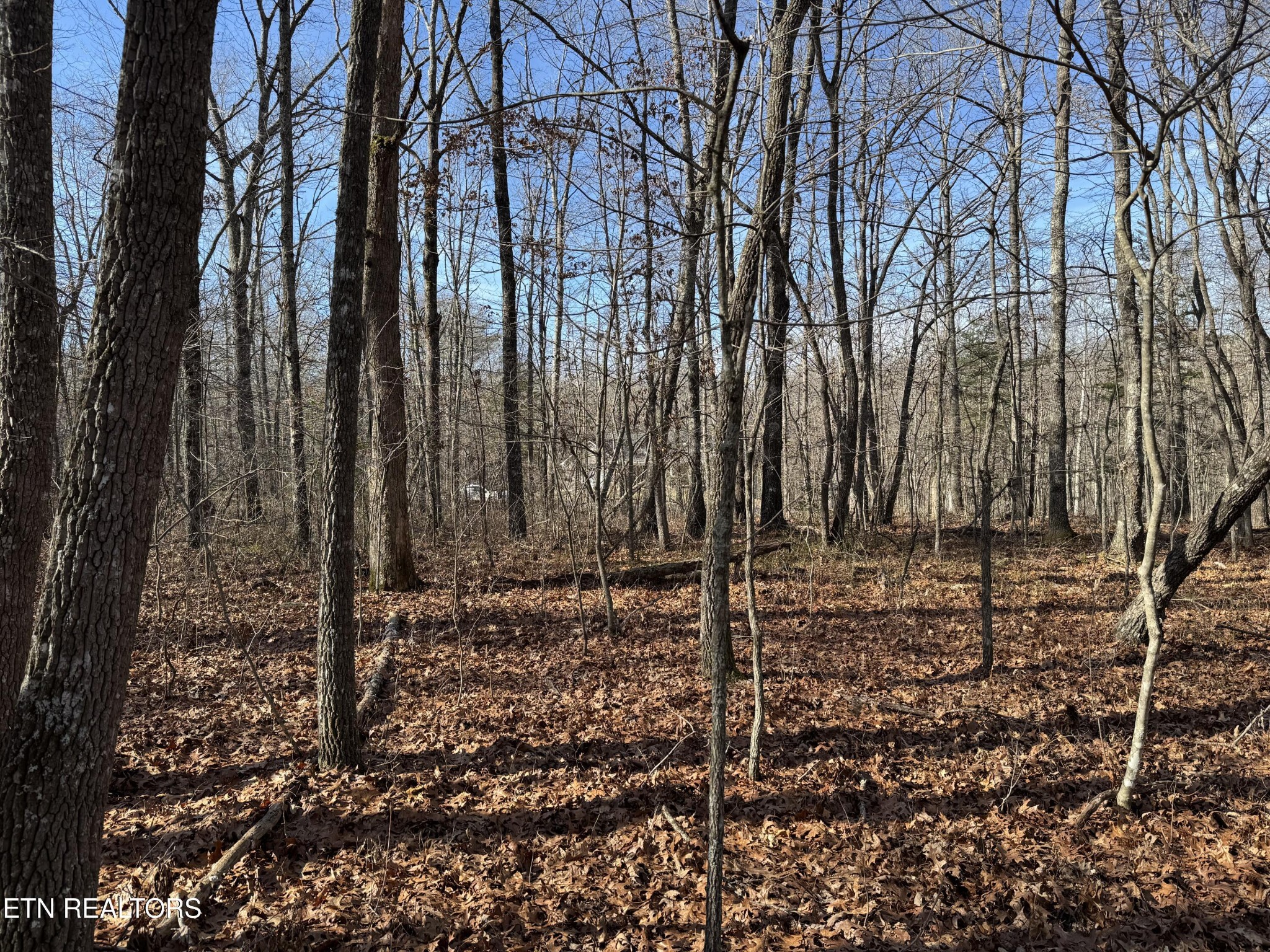 0 Sycamore Bend Monterey, TN 38574 - Photo 1 of 6