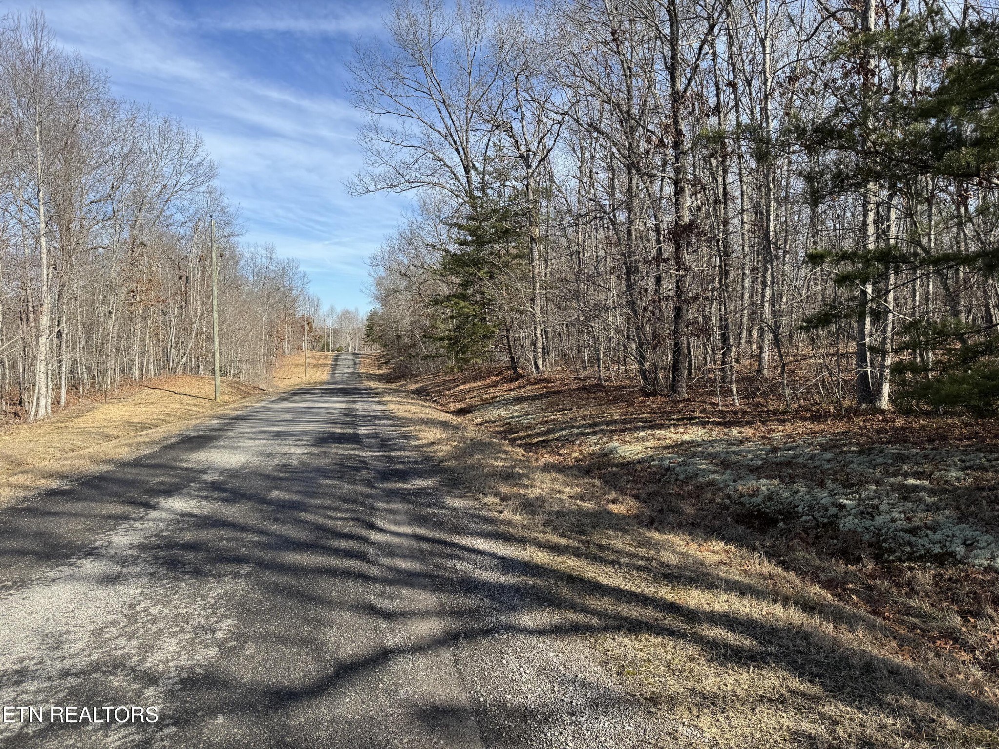 0 Sycamore Bend Monterey, TN 38574 - Photo 2 of 6 a view of dirt yard with large trees