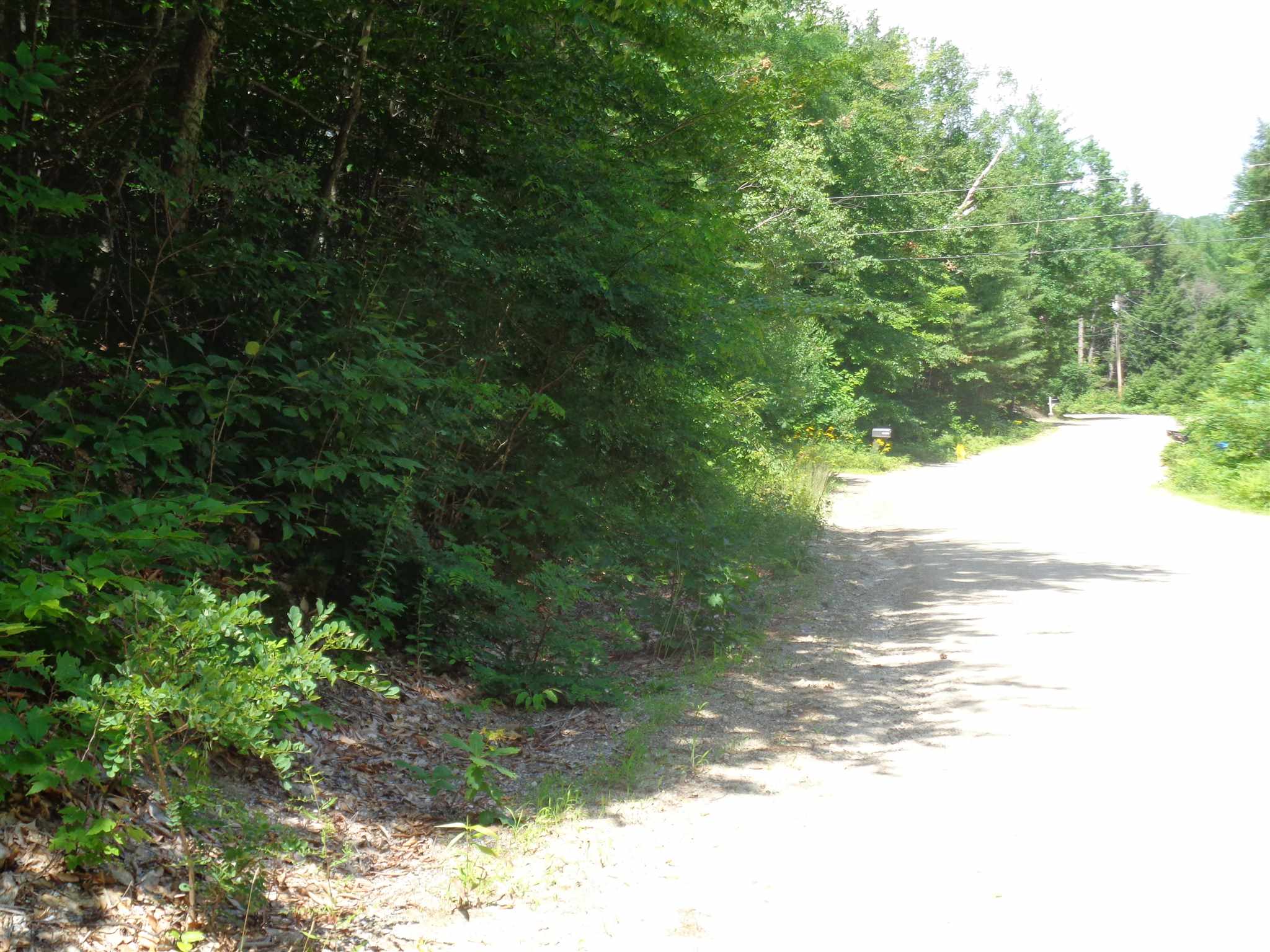 0 Morrison Road Alexandria, NH 03222 - Photo 2 of 3