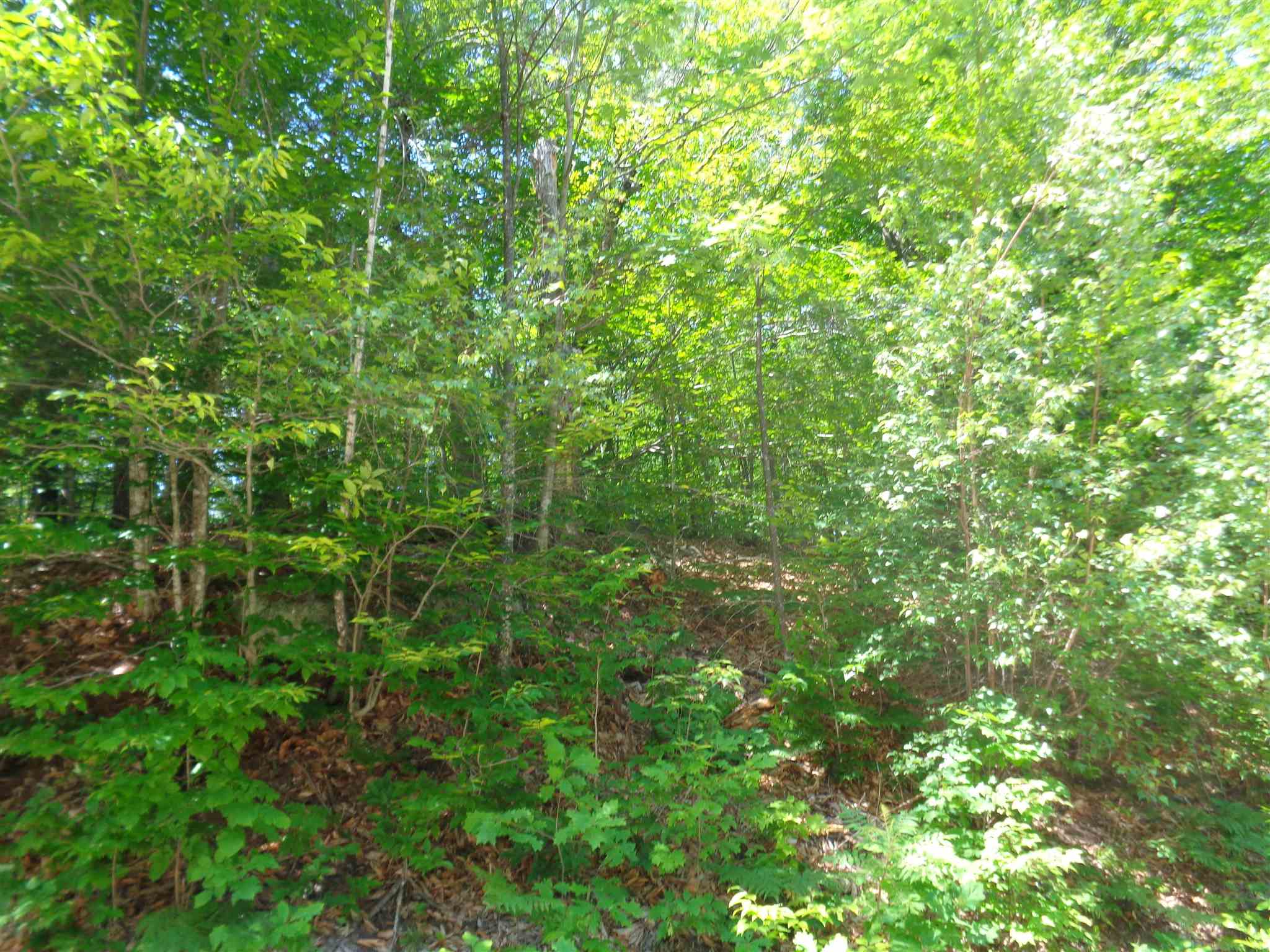 0 Morrison Road Alexandria, NH 03222 - Photo 3 of 3
