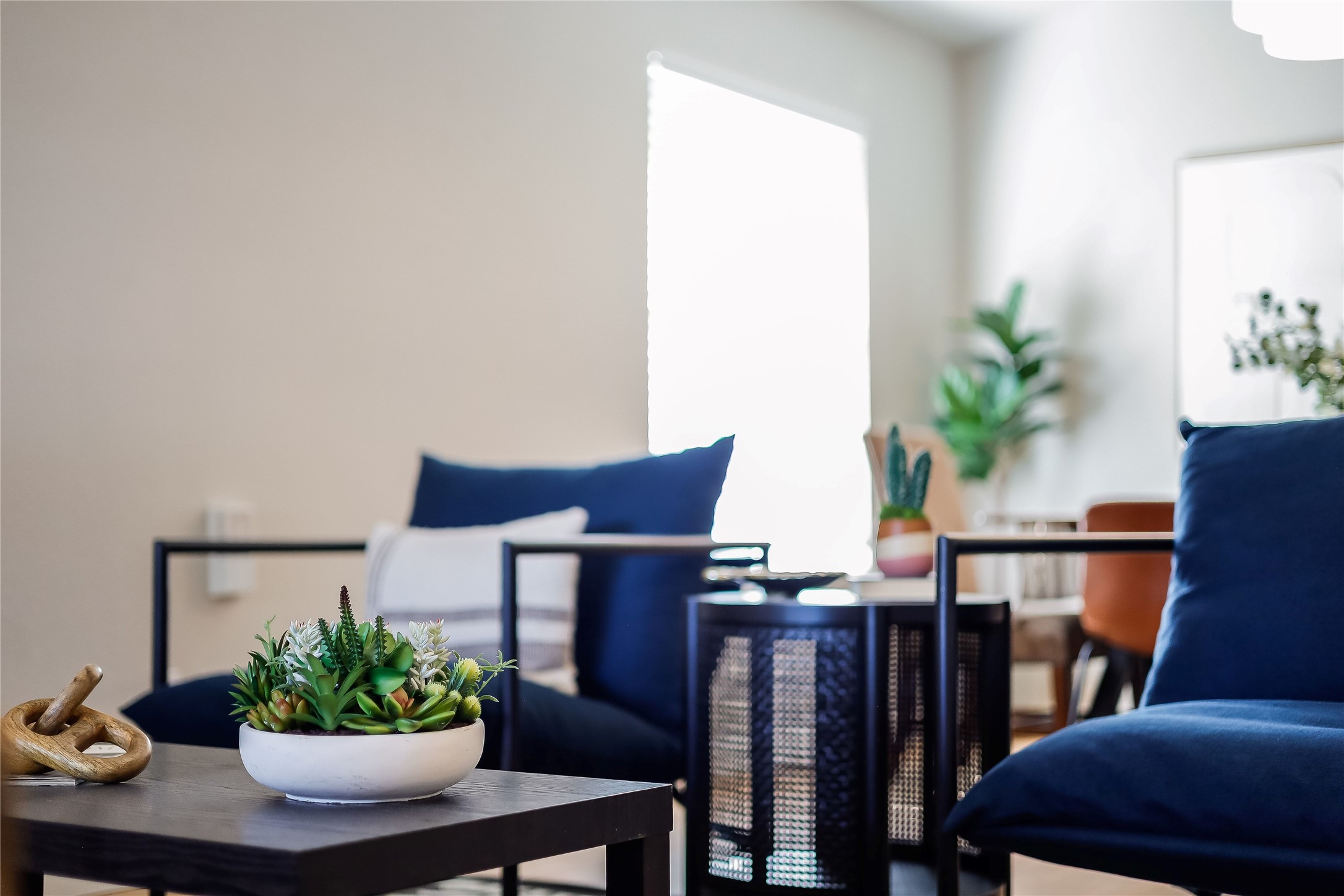 3318 Cantera Way Round Rock, TX 78681 - Photo 5 of 40