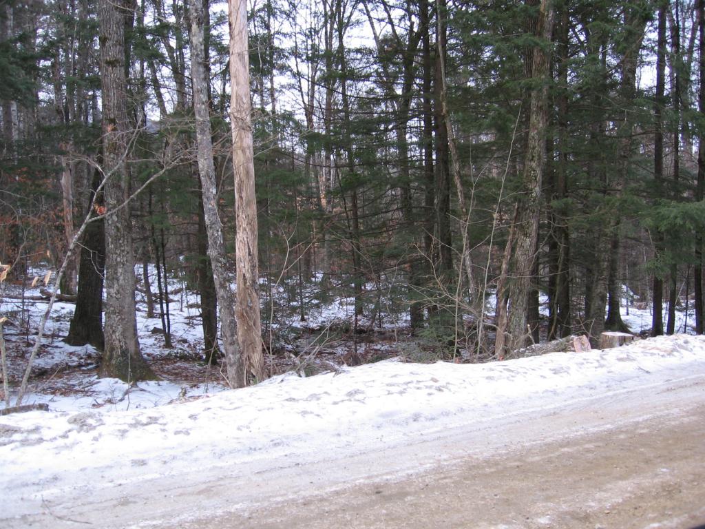 10 Littlefield Road Danbury, NH 03230 - Photo 1 of 6