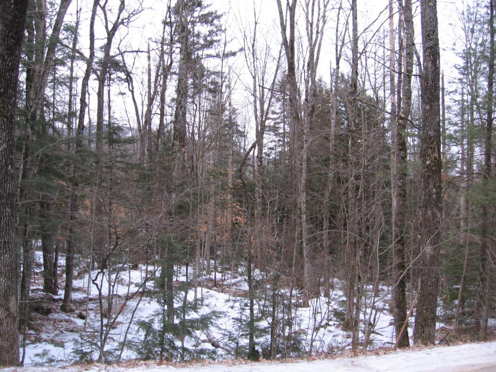 10 Littlefield Road Danbury, NH 03230 - Photo 2 of 6