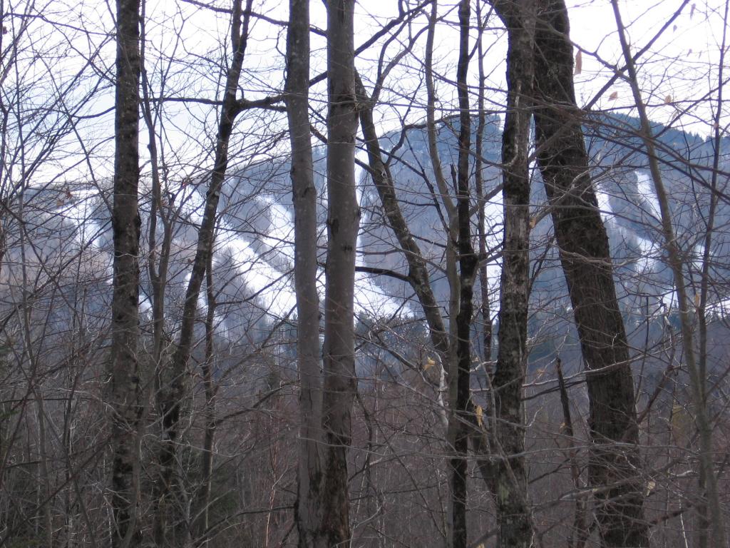10 Littlefield Road Danbury, NH 03230 - Photo 4 of 6