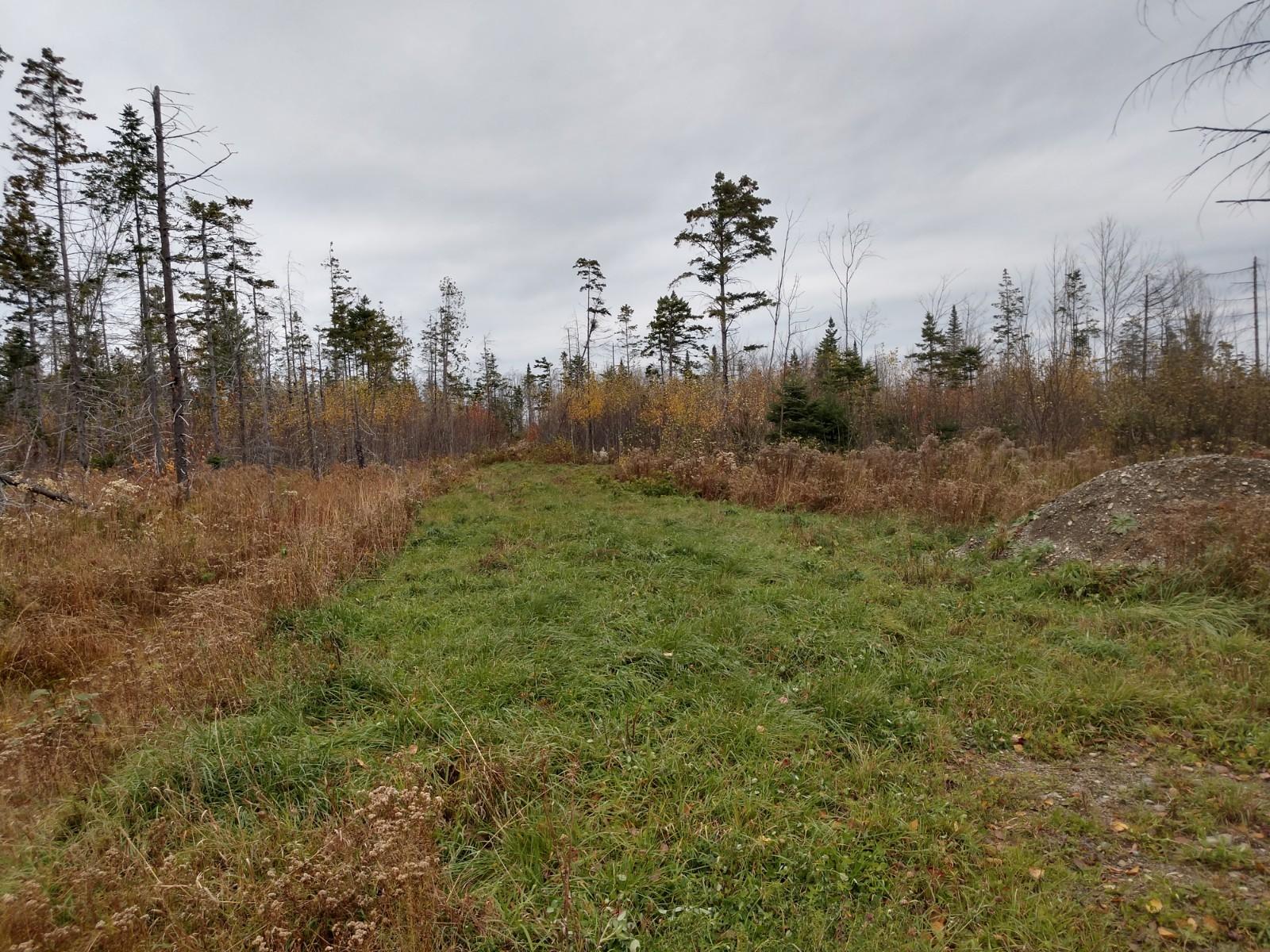 Lot 9 Spring Hill, Unit ACRES Amity, ME 04471 - Photo 2 of 5 IMG_20181019_143904741_HDR