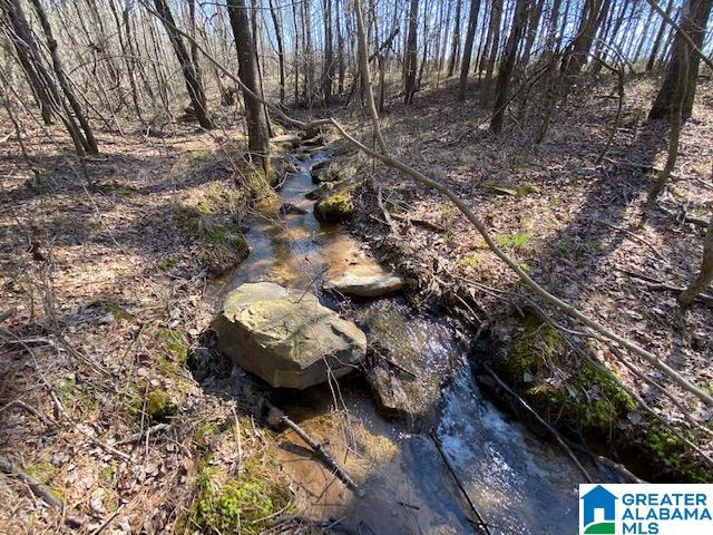 0 Jones Chapel Loop, Unit 15 / ACRES Springville, AL 35146 - Photo 7 of 10