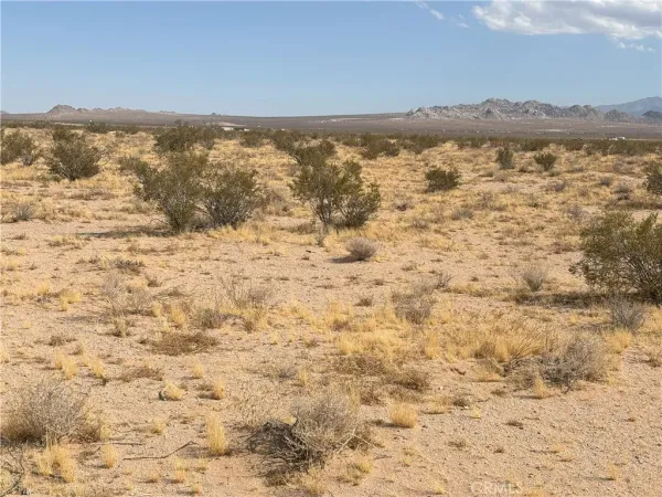 $60,000 | 0 Saxon Lucerne Valley, Lucerne Valley, CA 92356