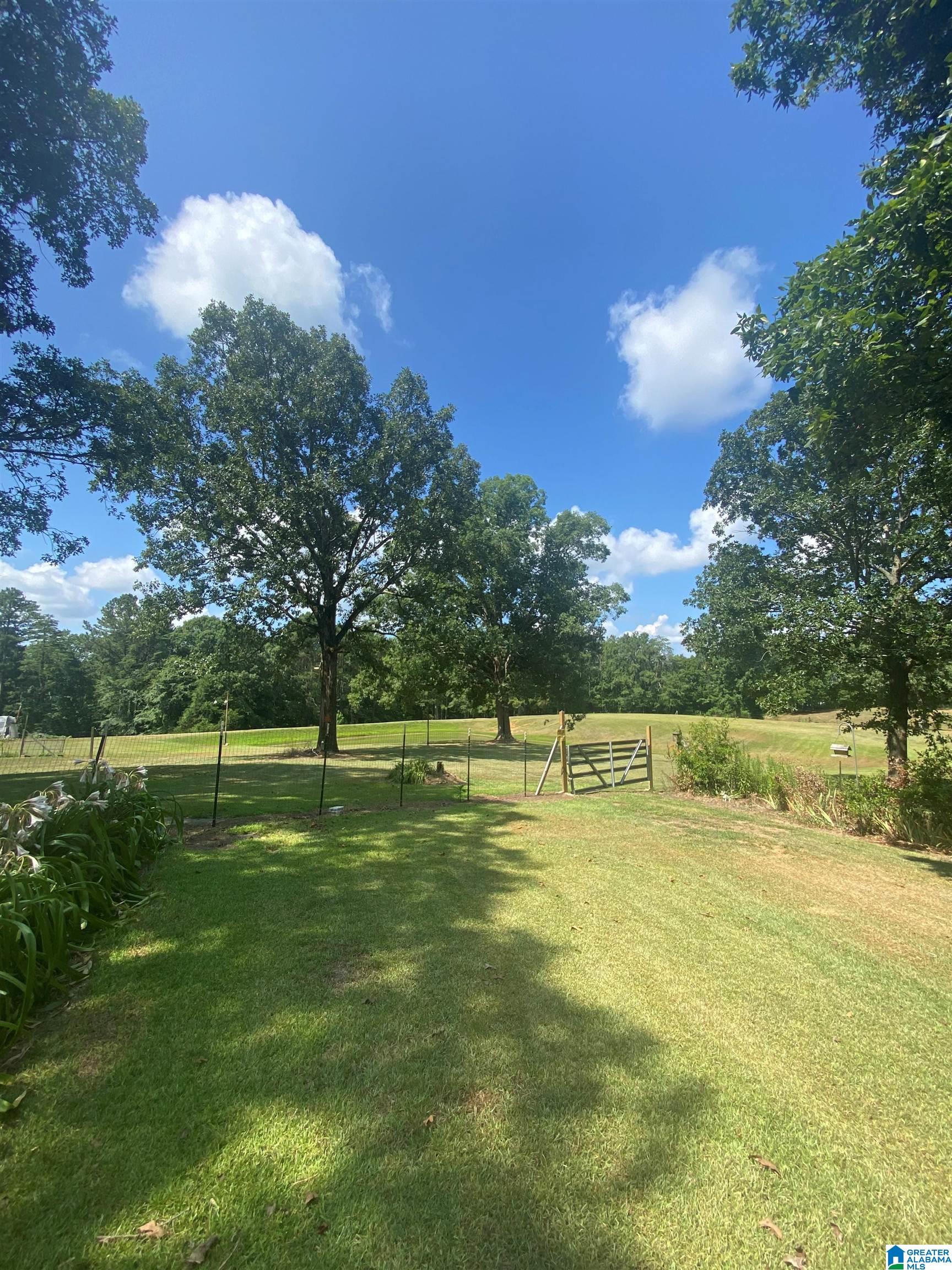 8302 Posey Road Morris, AL 35116 - Photo 24 of 30 Gallery Image 24