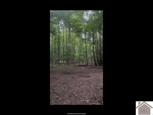 Powell Levee Road Cottage Grove, TN 38224 - Photo 3 of 4 Photo 3