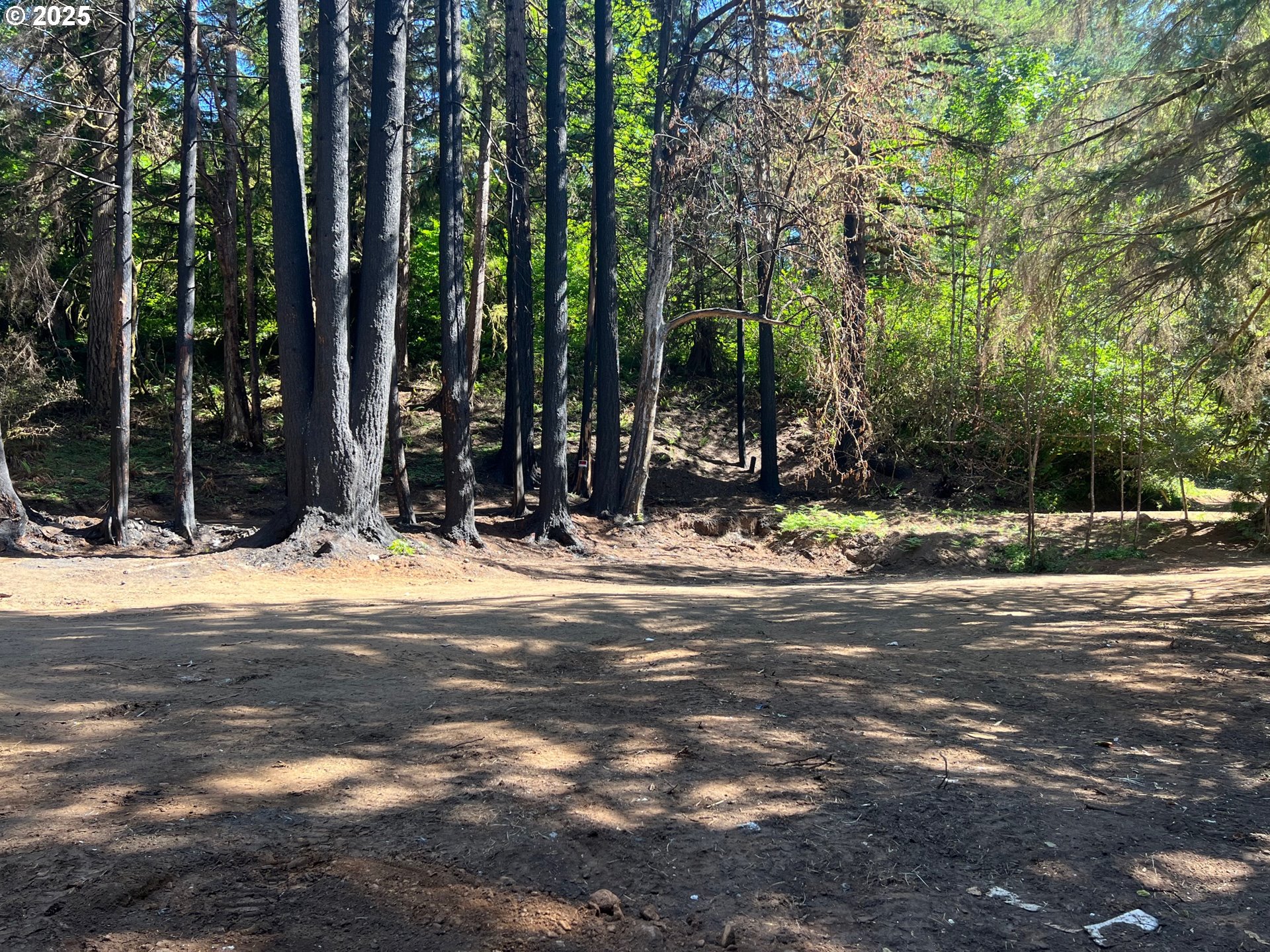 2536 Southeast Mannthey Road Corbett, OR 97019 - Photo 4 of 11