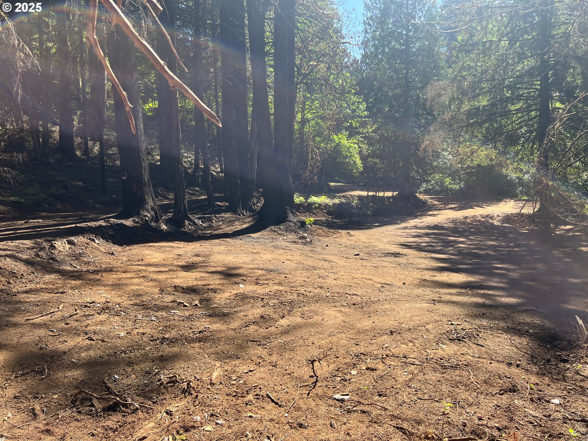 2536 Southeast Mannthey Road Corbett, OR 97019 - Photo 5 of 11