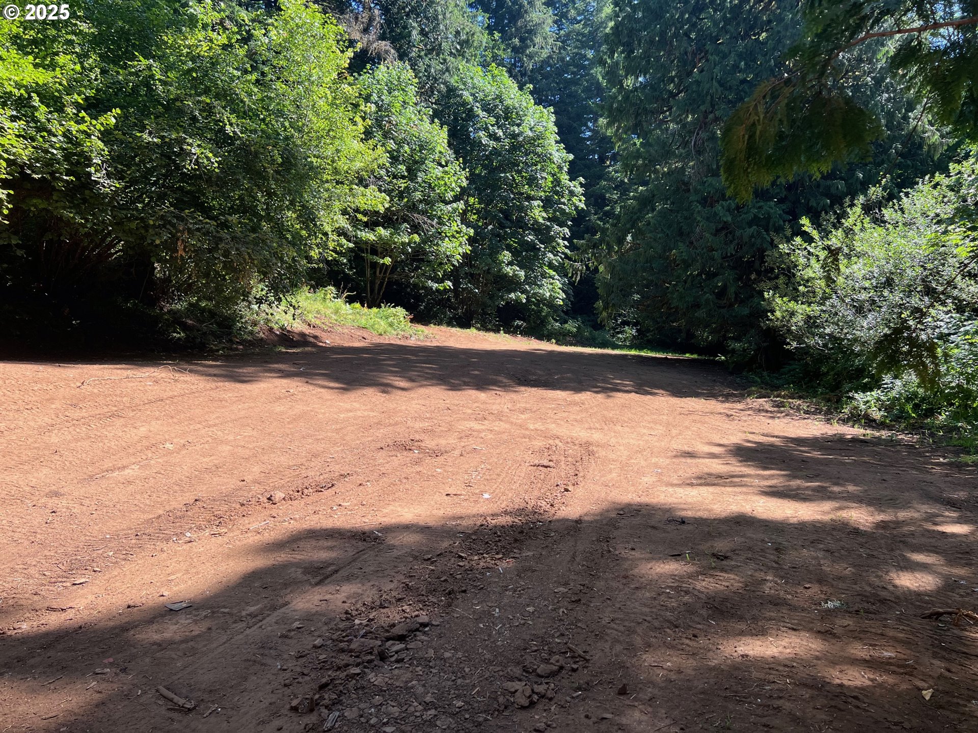 2536 Southeast Mannthey Road Corbett, OR 97019 - Photo 6 of 11