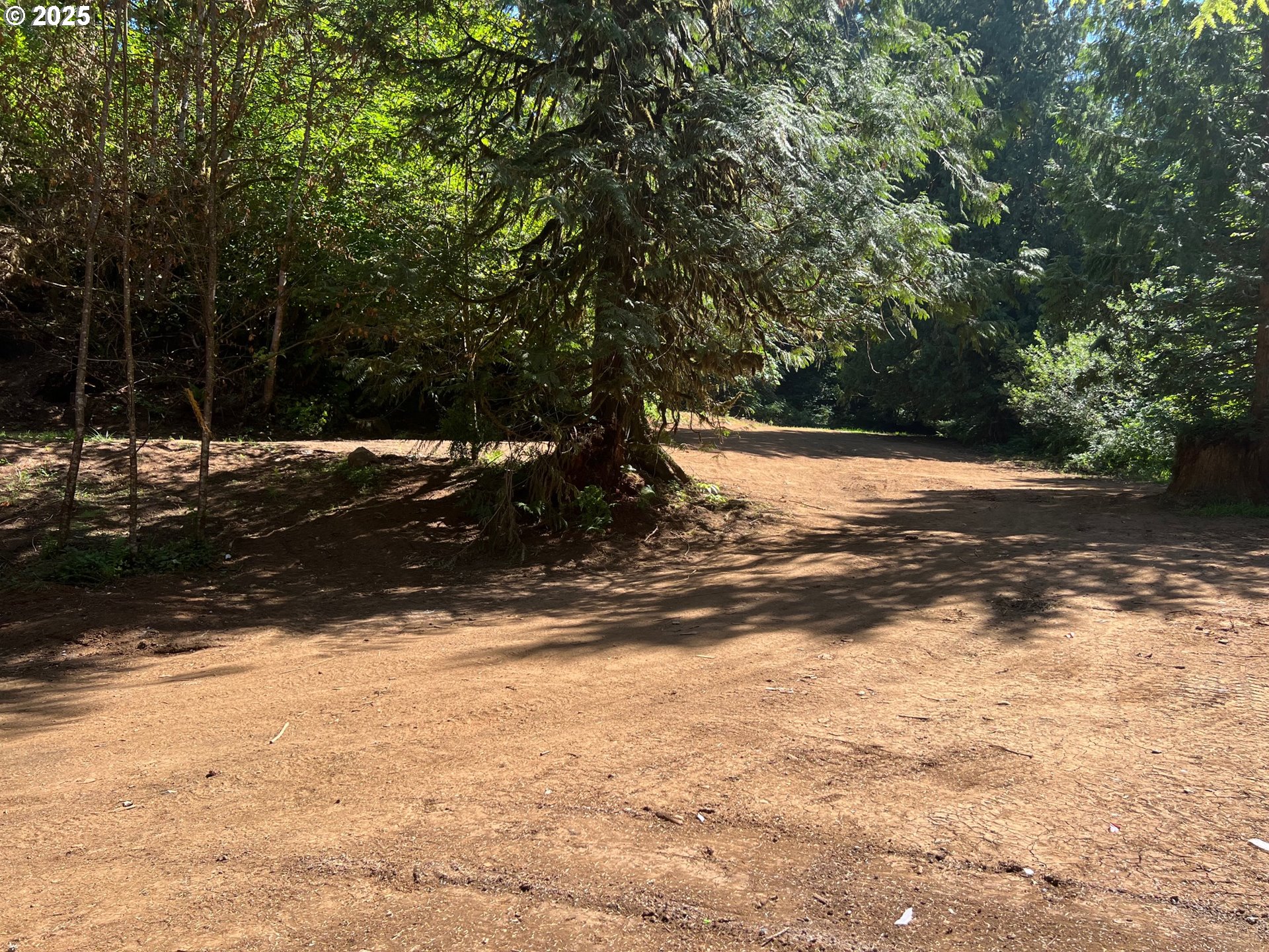 2536 Southeast Mannthey Road Corbett, OR 97019 - Photo 7 of 11