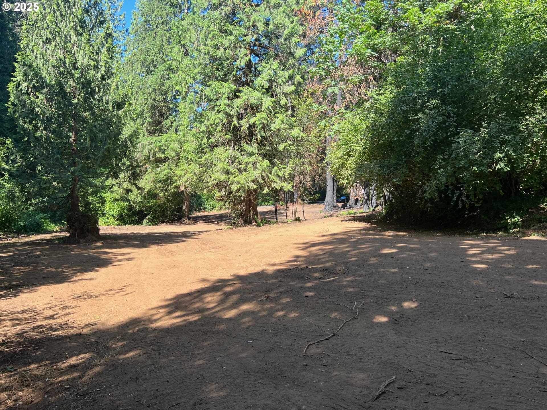 2536 Southeast Mannthey Road Corbett, OR 97019 - Photo 8 of 11