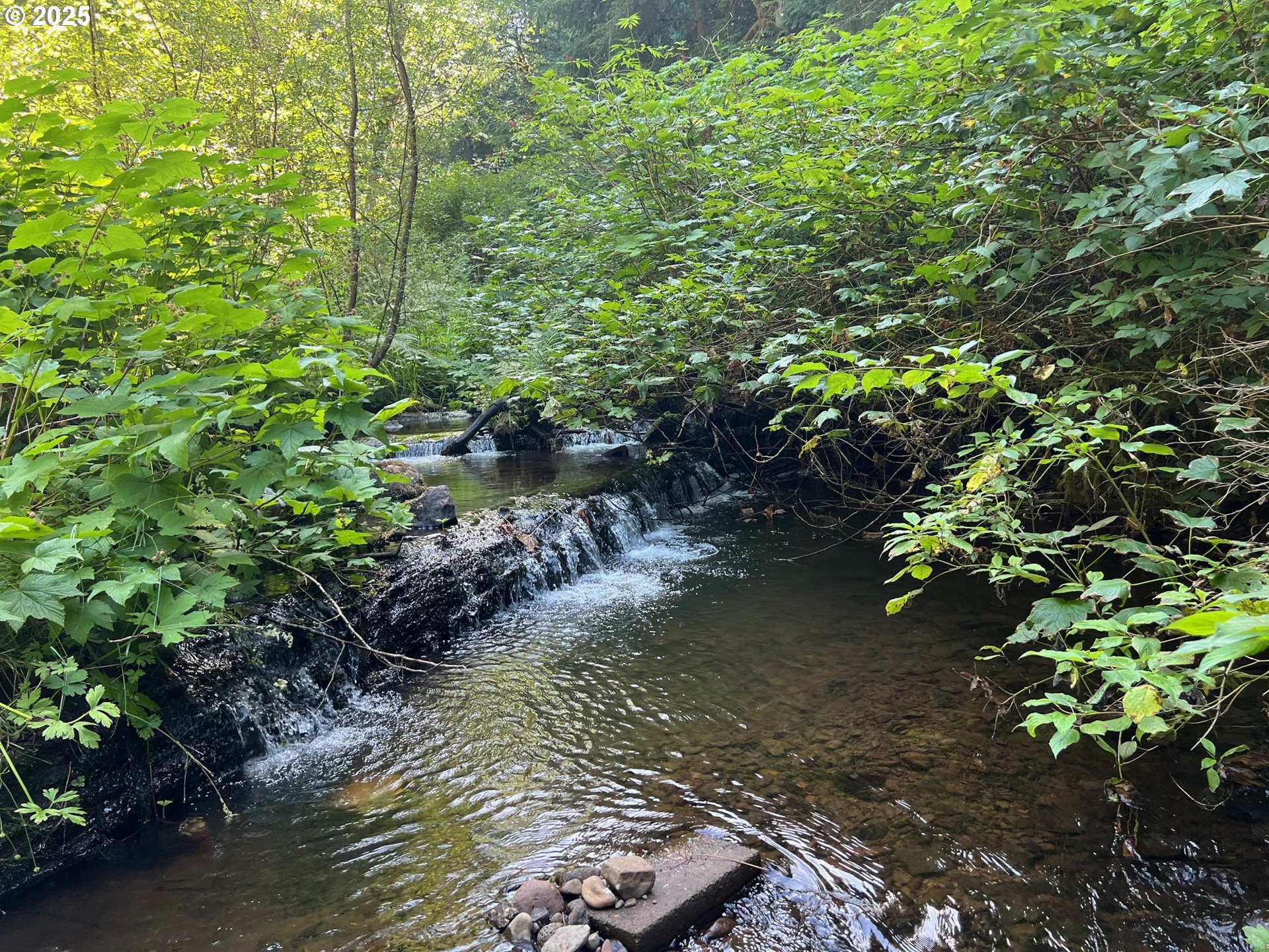 2536 Southeast Mannthey Road Corbett, OR 97019 - Photo 9 of 11