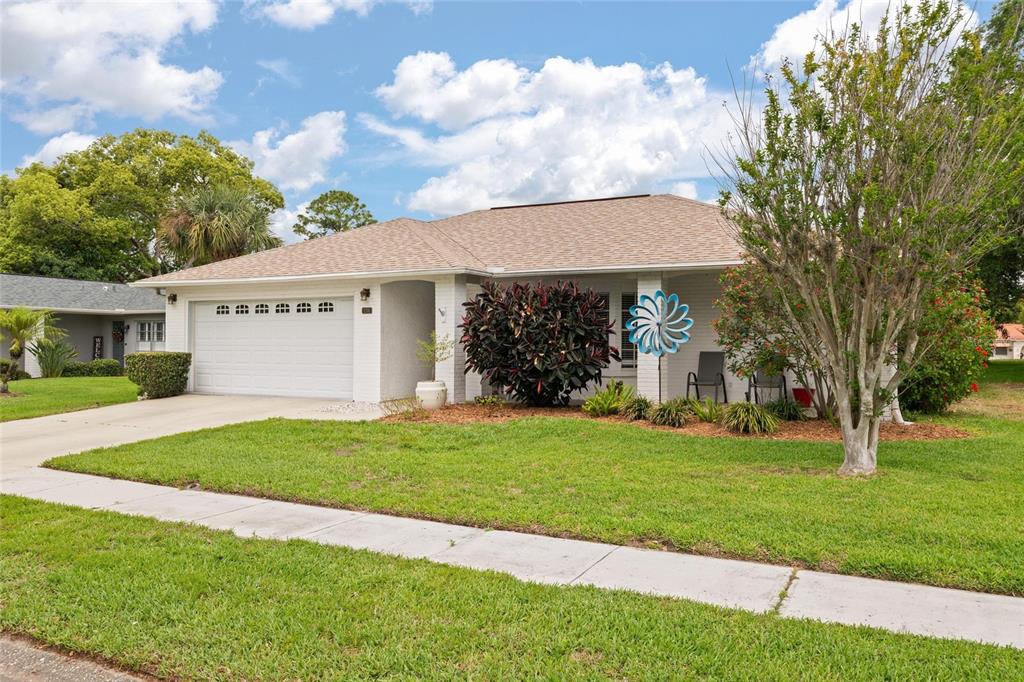11241 Rollingwood Drive Port Richey, FL 34668 - Photo 3 of 26 a view of a white house with a yard potted plants and large tree