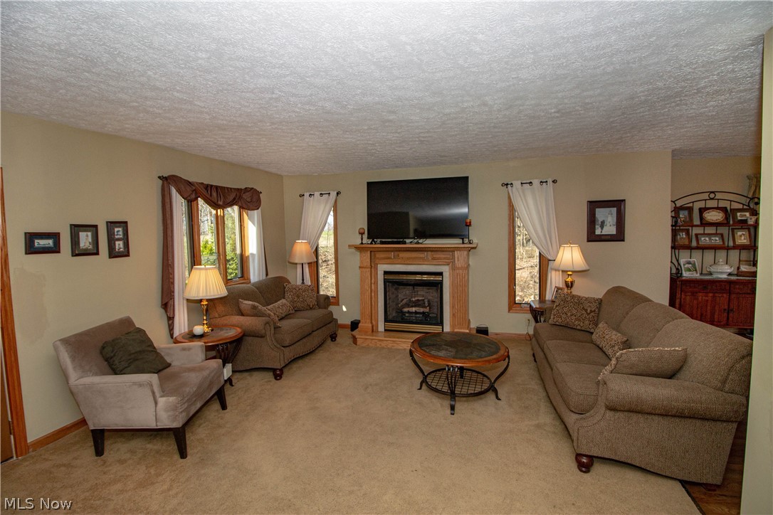 8463 Rodgers Road Lodi, OH 44254 - Photo 4 of 32 Gallery Image 4