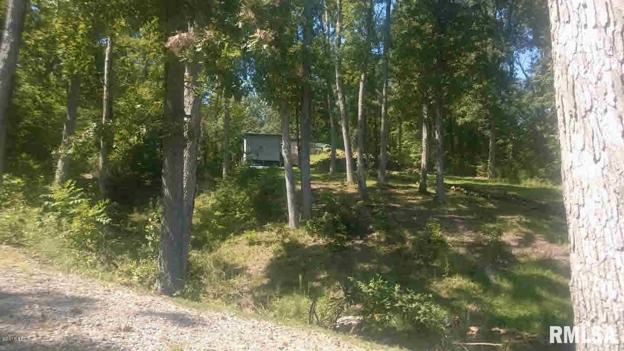 95 Cardinal Lane Goreville, IL 62939 - Photo 10 of 25