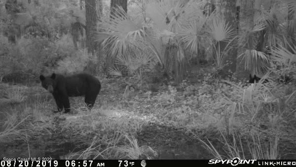D D Johnson Mims, FL 32754 - Photo 10 of 25 IMG_4288
