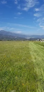 a view of an ocean from a yard